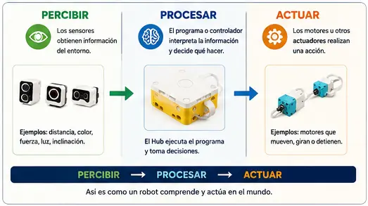 Esquema del funcionamiento de un robot: percibir, procesar y actuar